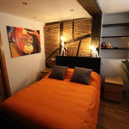 Monkeys House. Vitoria-Gasteiz