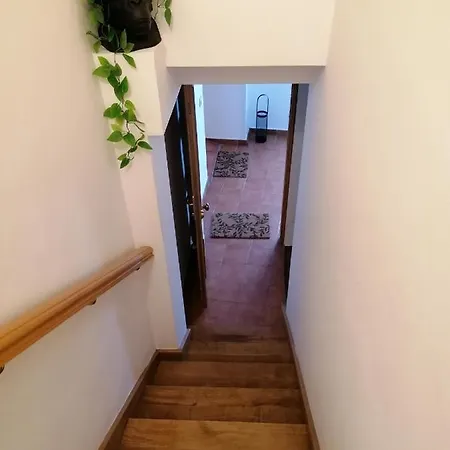 Appartement Monkeys House. *